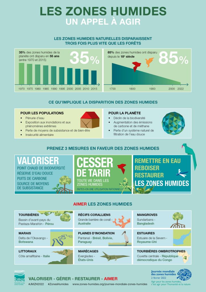 Infographie sur la journée mondiale des zones humides.
Elle présente la santé des zones humides au niveau mondial et liste des actions à réaliser pour les préserver.