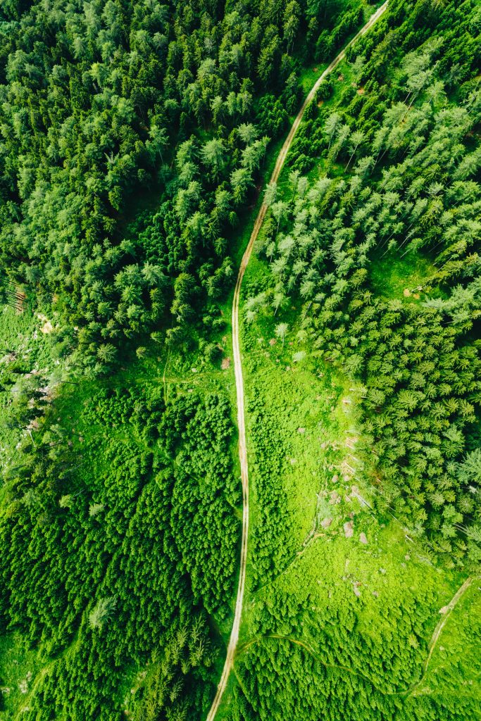 Espace naturel