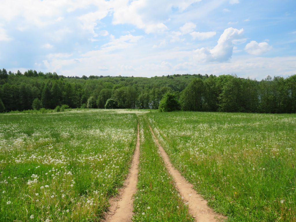 nature été